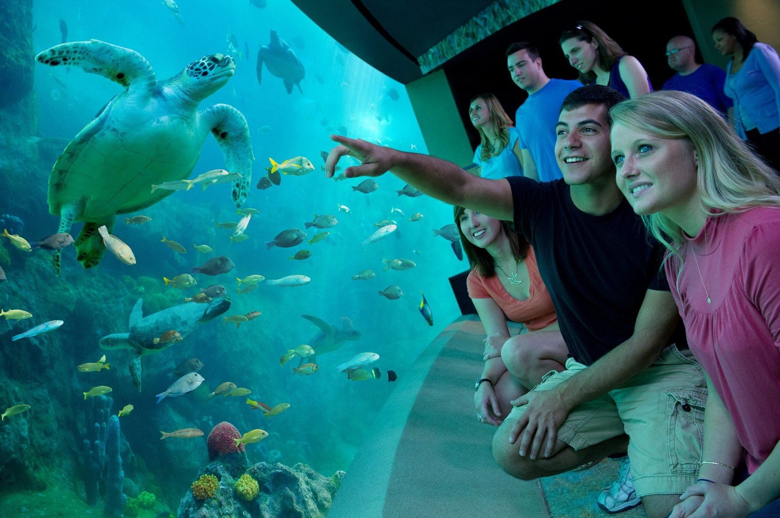 Sea World