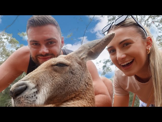 Wildlife Sanctuary